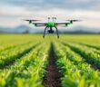 Precision Farming: Jobchancen in der digitalen Landwirtschaft (Foto: AdobeStock - 913576282 Pachara)